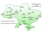 2010 год- 25 порталов обуви в Украине